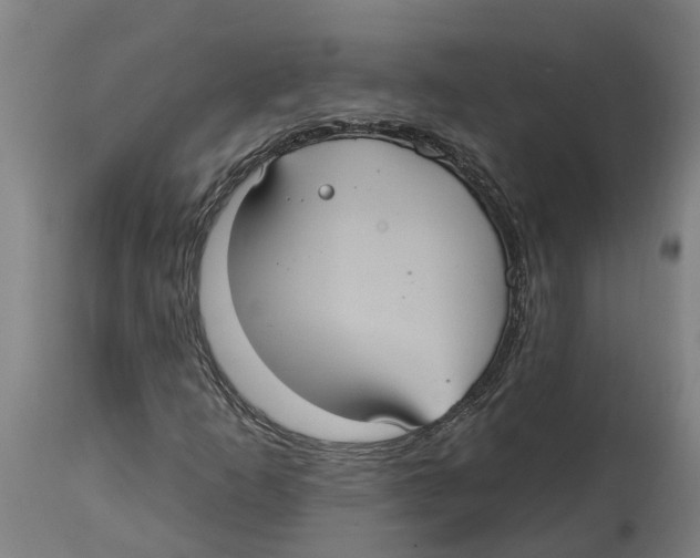 X0000114421253200911131443