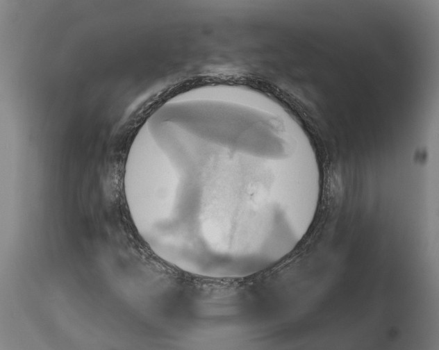 X0000114421254200911131443