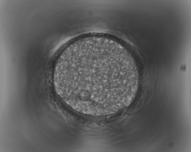 X0000114421255200911131443