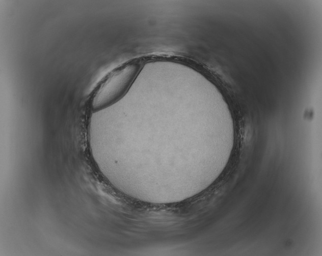 X0000114421256200911131443