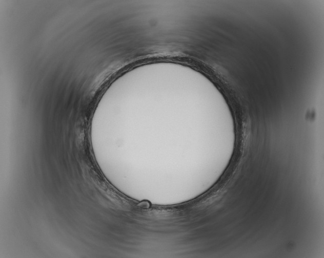 X0000114421257200911131443