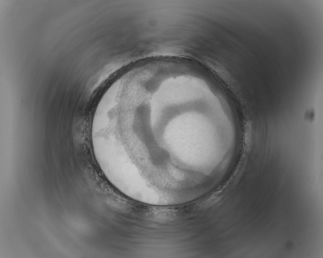 X0000114421258200911131443