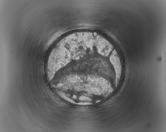 X0000114421259200911131443