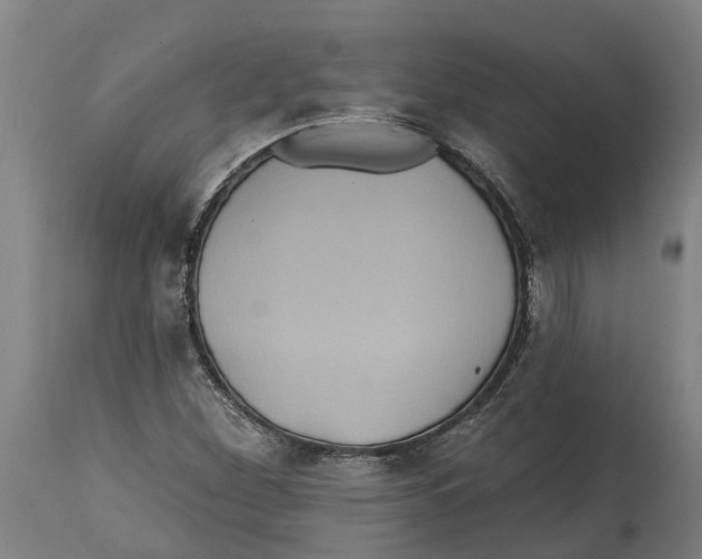 X0000114421260200911131443