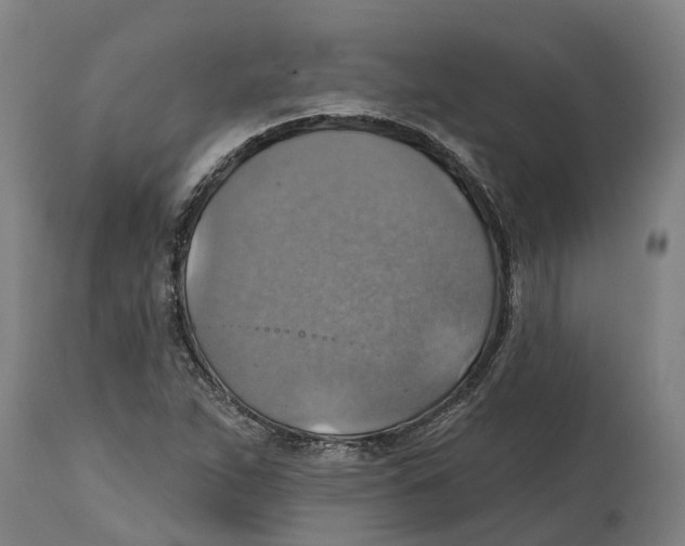 X0000114421263200911131443