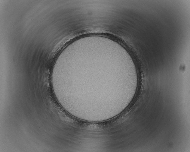 X0000114421265200911131443