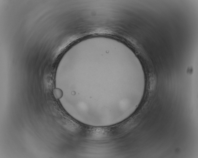 X0000114421266200911131443