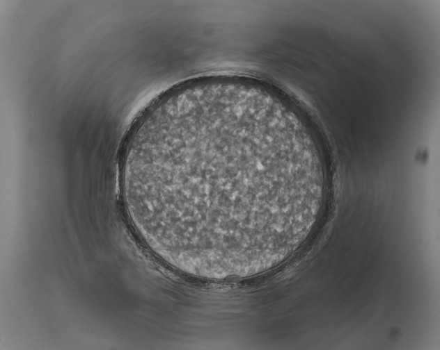 X0000114421267200911131443