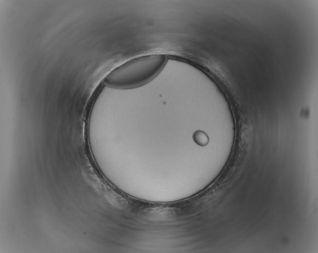 X0000114421268200911131443