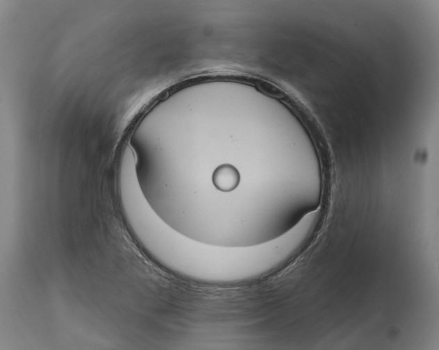 X0000114421269200911131443