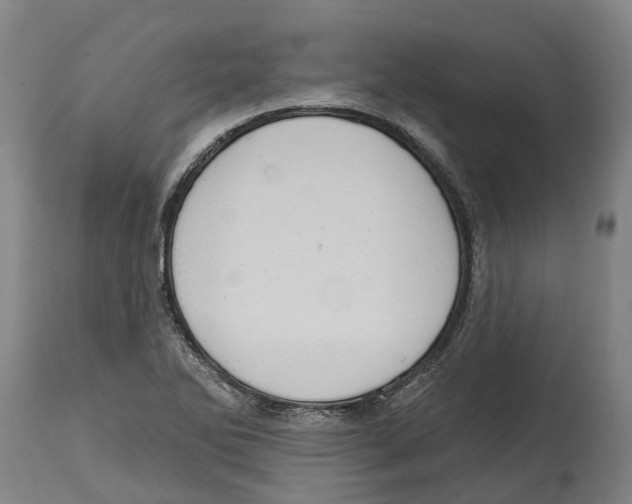 X0000114421270200911131443