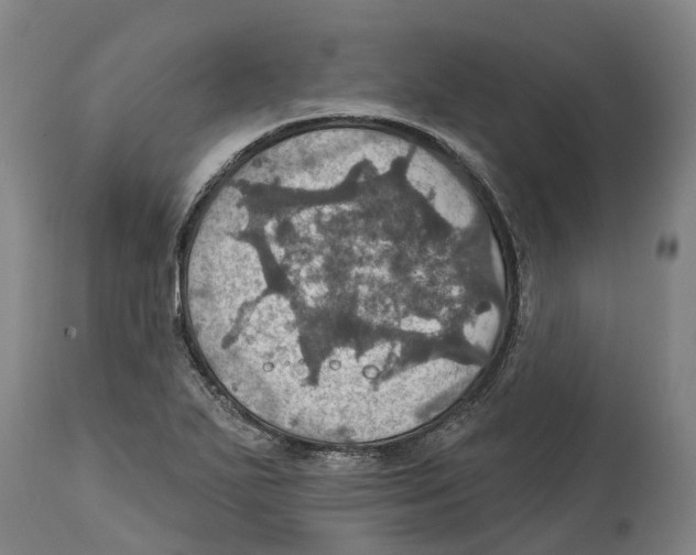 X0000114421271200911131443