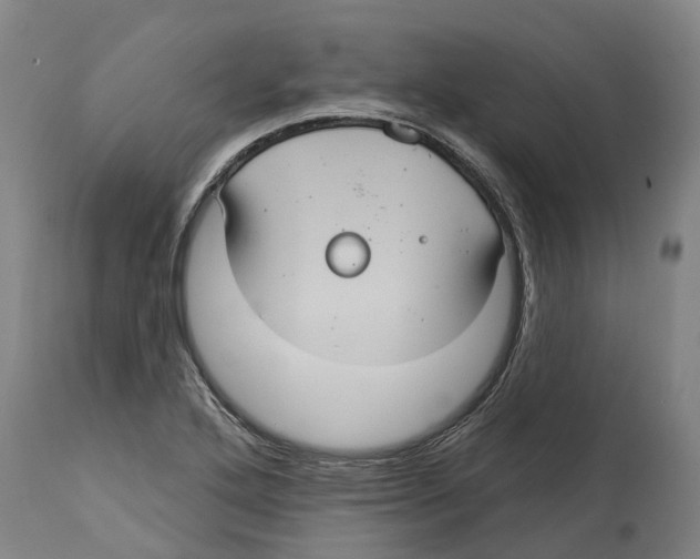 X0000114421272200911131443