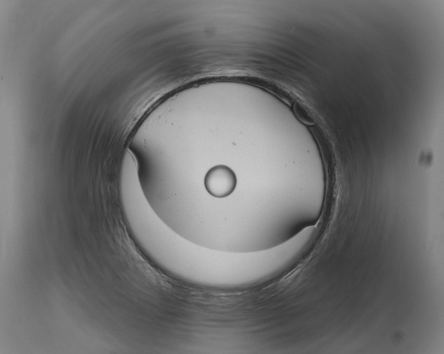 X0000114421273200911131443