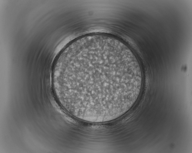 X0000114421274200911131443