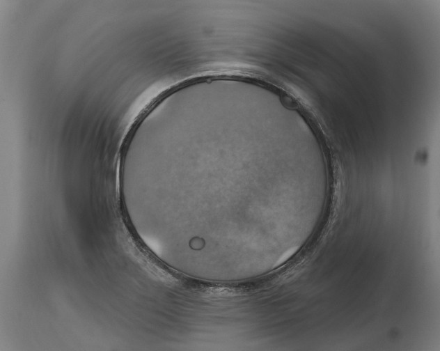 X0000114421275200911131443