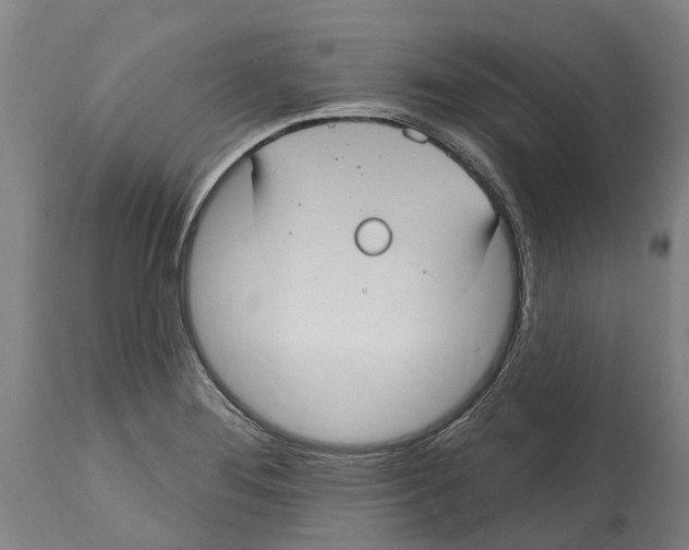 X0000114421276200911131443