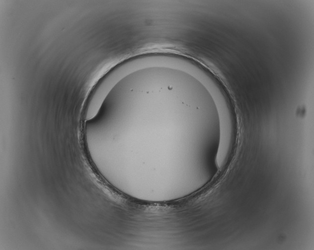 X0000114421277200911131443