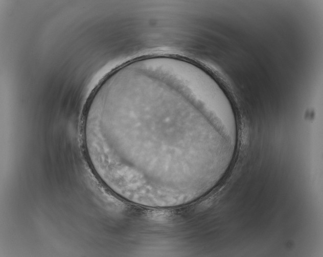 X0000114421278200911131443