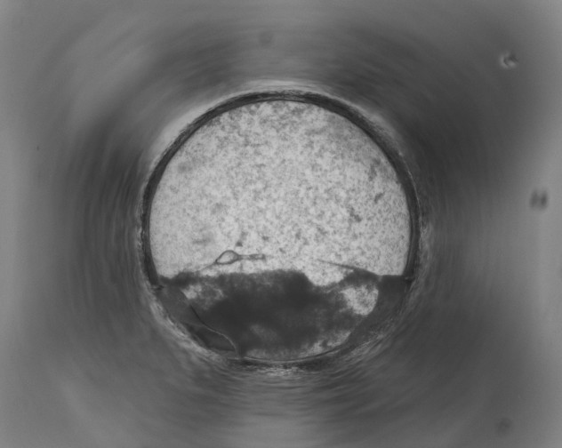 X0000114421279200911131443