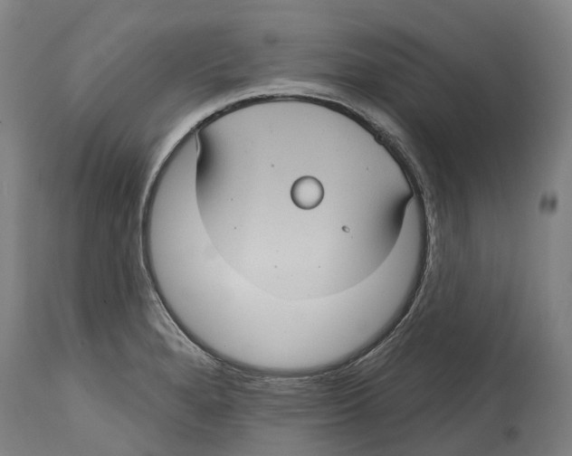 X0000114421280200911131443