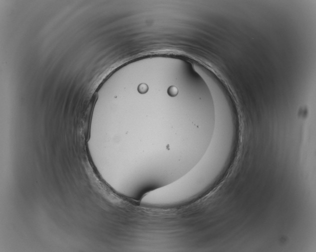 X0000114421281200911131443