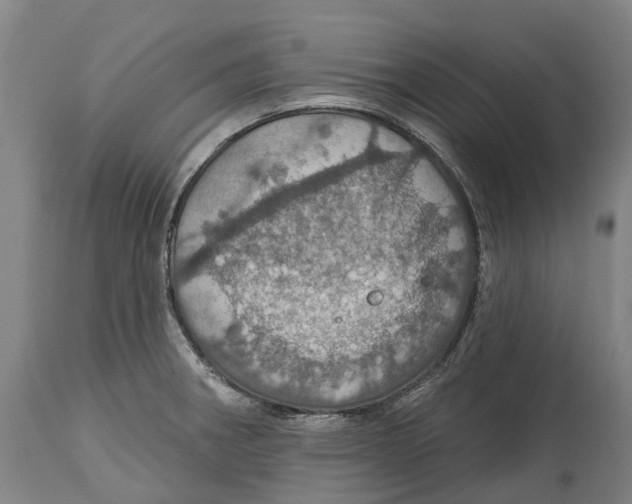 X0000114421282200911131443