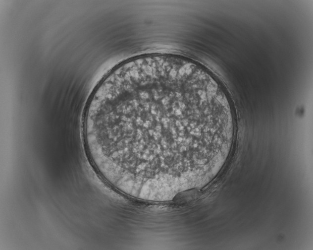 X0000114421283200911131443