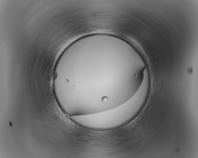 X0000114421284200911131443