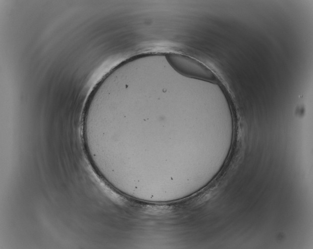 X0000114421285200911131443