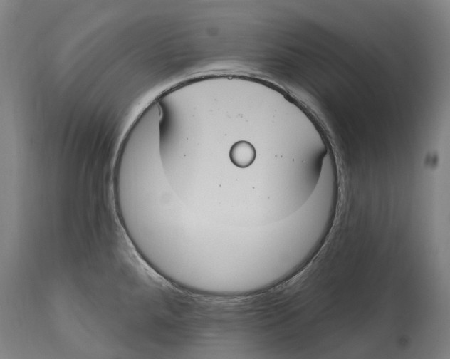 X0000114421288200911131443