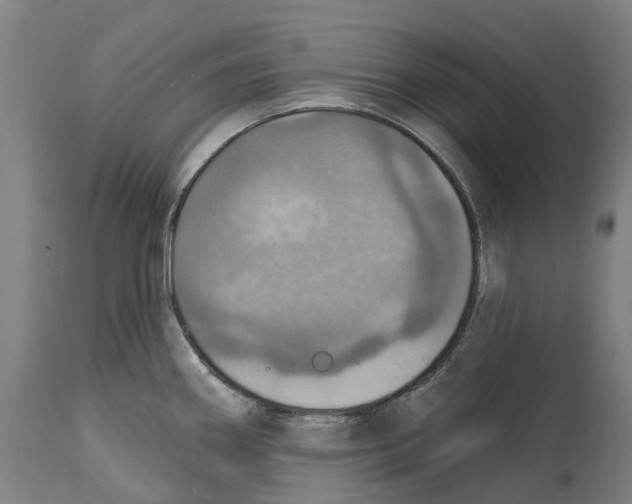 X0000114421290200911131443