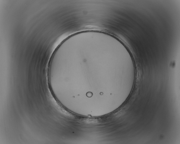 X0000114421291200911131443