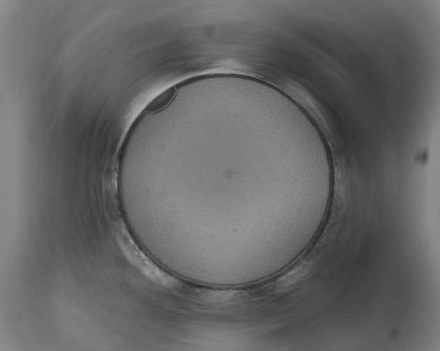 X0000114421292200911131443