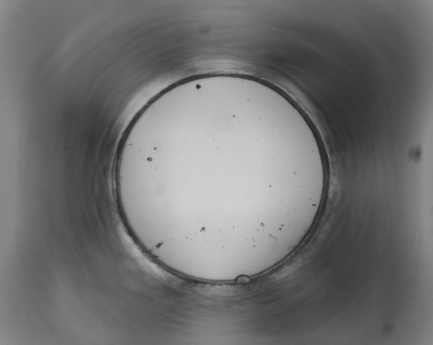 X0000114421293200911131443