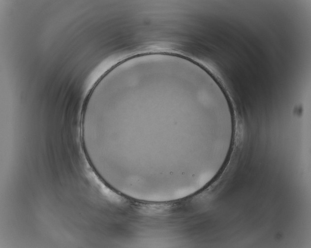 X0000114421294200911131443