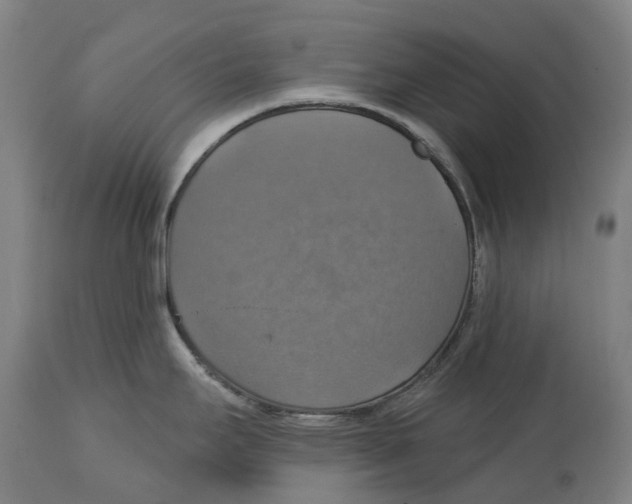 X0000114421295200911131443