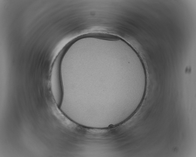 X0000114421296200911131443