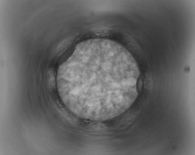 X0000114421298200911131442