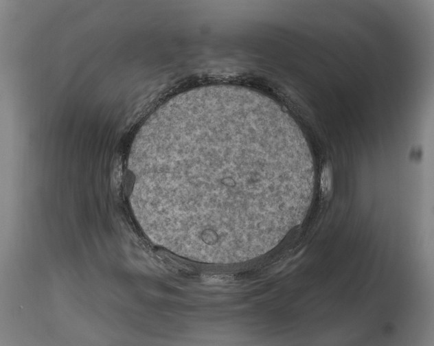 X0000114421299200911131442