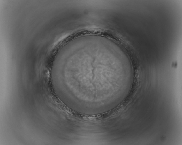 X0000114421302200911131442