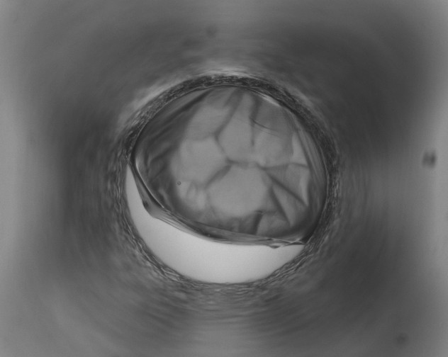 X0000114421303200911131442