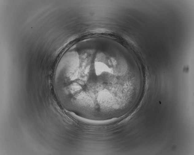 X0000114421305200911131442