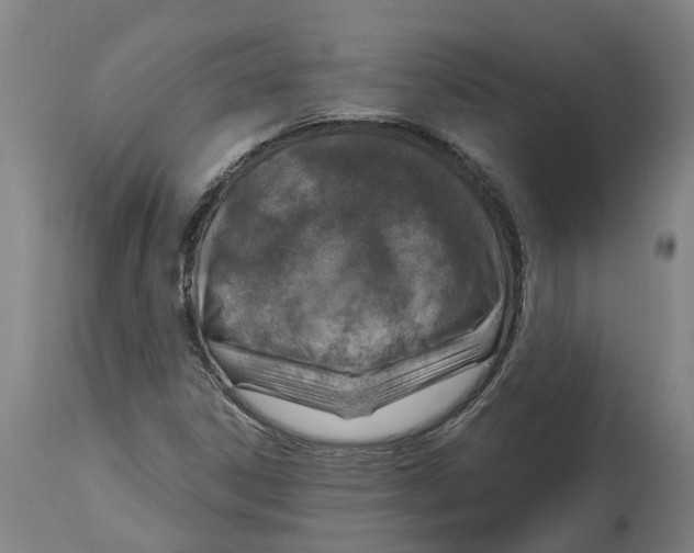 X0000114421306200911131442