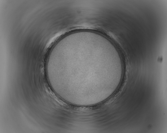 X0000114421307200911131442