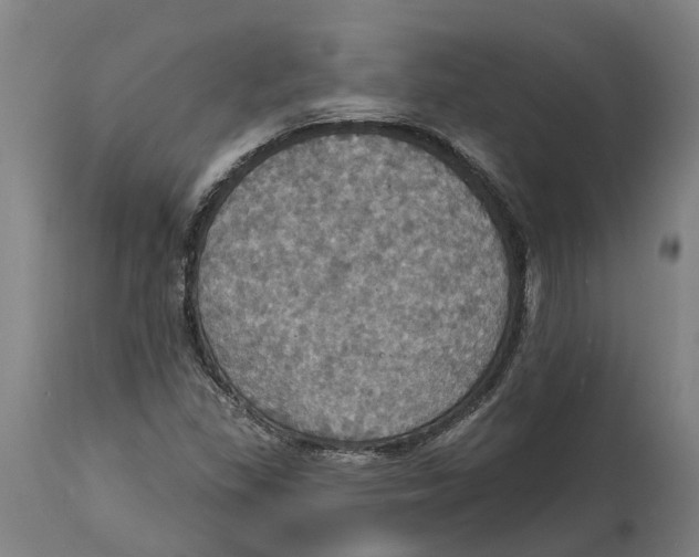 X0000114421309200911131442