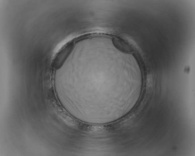 X0000114421310200911131442