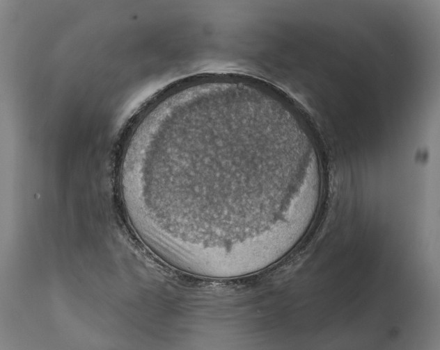 X0000114421311200911131442