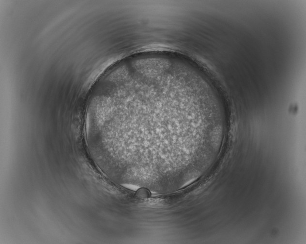 X0000114421313200911131442