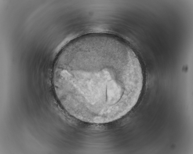 X0000114421314200911131442